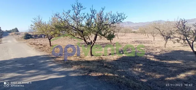 Terreno-parcela en Purias — 11