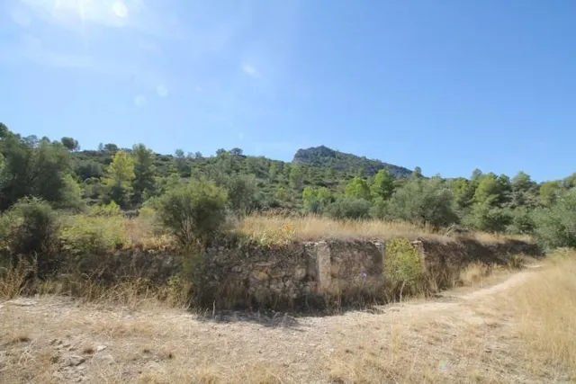 IMPRESIONANTE FINCA DE 30 HECTÁREAS CON TERRENO CULTIVABLE Y VISTAS PANORÁMICAS A VILLENA — 34