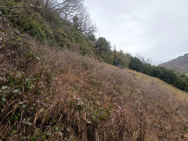 Terreno Orbaizeta — 14