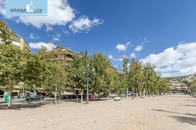 Pisazo en paseo del salón - Granada — 45