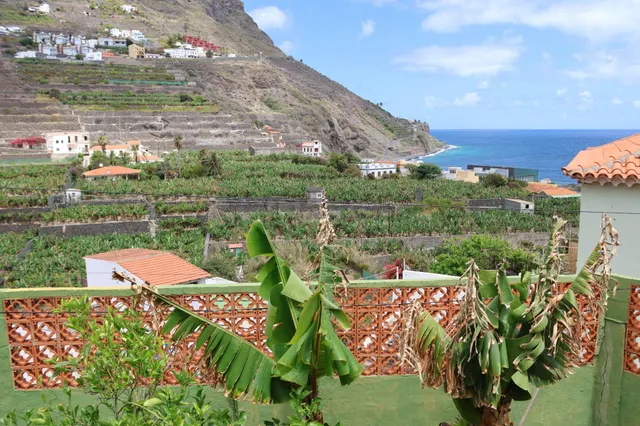 Oportunidad Única: Finca con Potencial Rentable y Tres Casas - foto 4