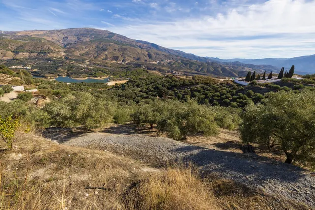 ¡Oportunidad única! Dos Fincas rústicas de mas de 15.000 m2 en total en Pinos del Valle. VENTA JUNTAS O SEPARADAS — 50