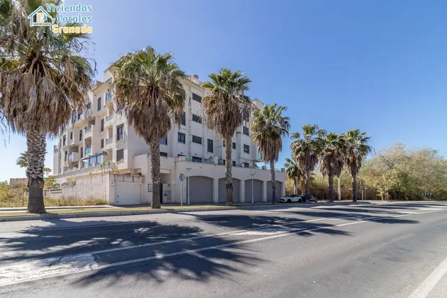 Playa Poniente — 27
