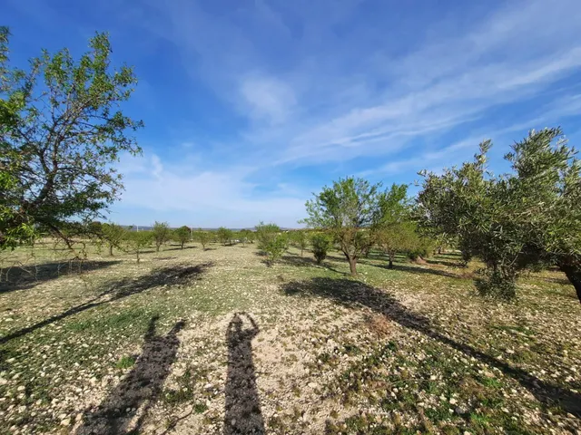 TERRENO PARA SU CASA DE CAMPO EN CANTO BLANCO — 5