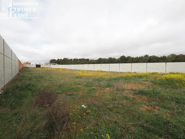 Se vende solar en Tomelloso con 3250m2 de superficie y 25 de - foto 3