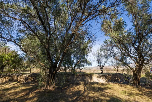 FINCA RUSTICA EN LA VEGUETA, PINOS DEL VALLE!! — 15