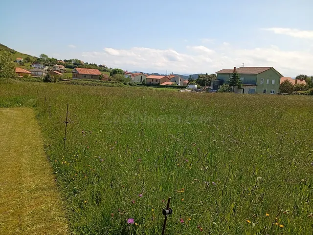 PARCELA URBANA EN VISPIERES CON DIFERENTES OPCIONES DE EDIFI - foto 3