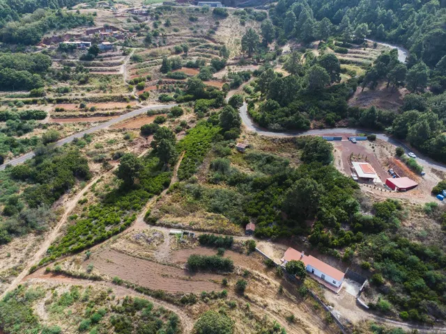 Finca rústica con potencial turístico y agrícola en Llano Ne