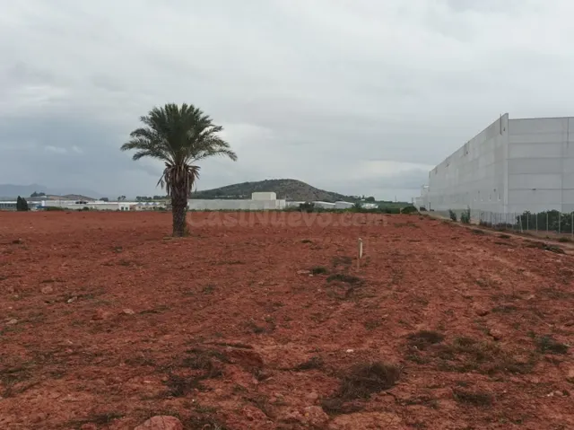 Solar Industrial paraje el reloj