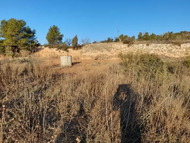 OCASION GRAN  FINCA EN PRODUCCION DE 8,4 HAS. EN CORBERA D´EBRE — 23