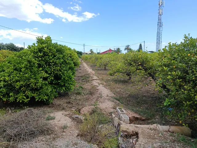 CASA DE CAMPO CERCA DE ELCHE — 46