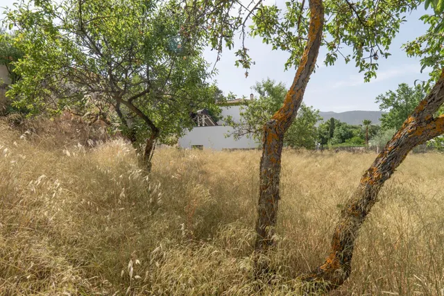 Terreno en Cortijo de la Luz ¡Tu futuro empieza aquí! — 18