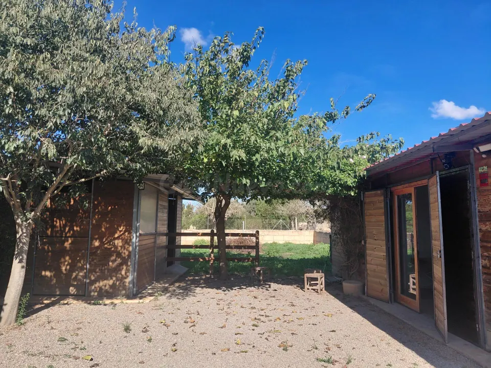 Finca rústica con casita acondicionada y terreno a 500 metros de Manacor