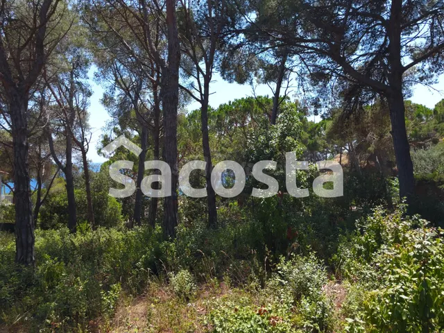 Construye tu Sueño entre los Pinos y Mar en Montgoda, Lloret - foto 5