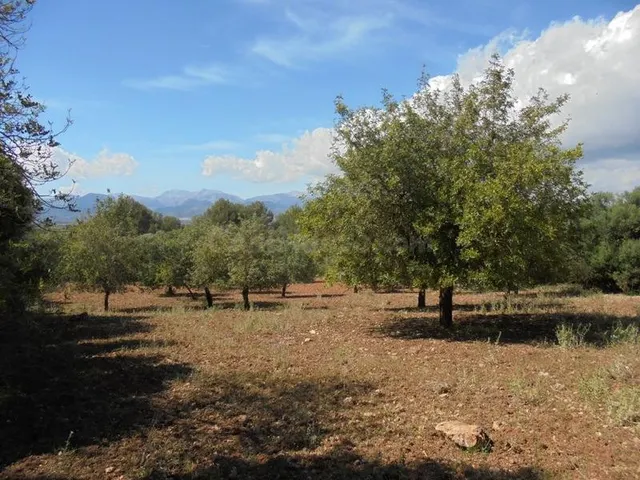 Finca rústica en Sencelles - foto 2