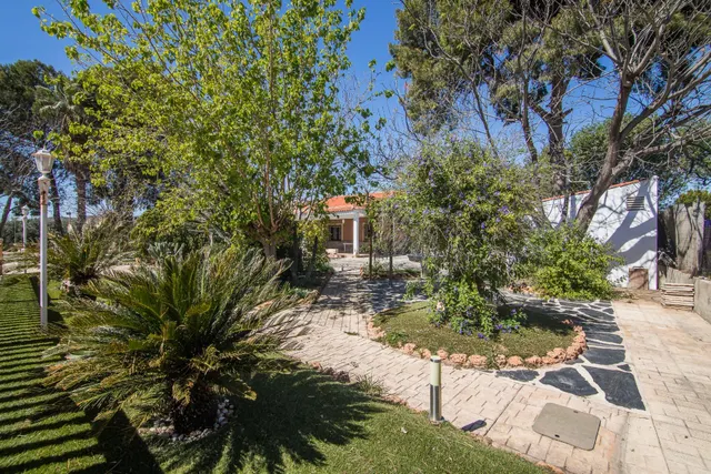 ¡chalet con piscina y gran parcela en Redován! — 7
