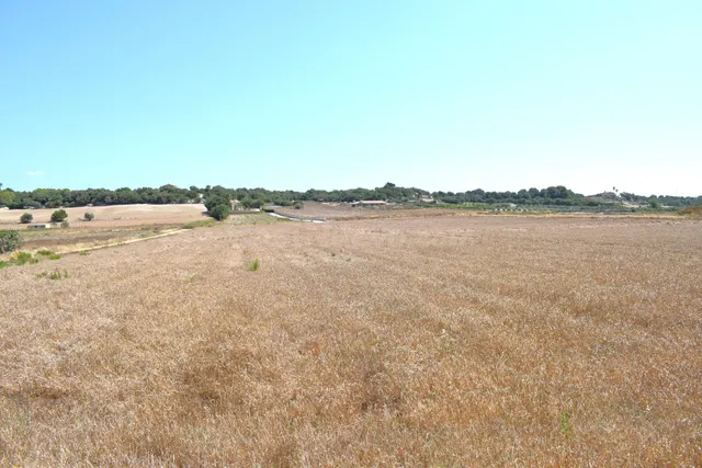 Finca rústica con posibilidad de construir una vivienda en S - foto 5