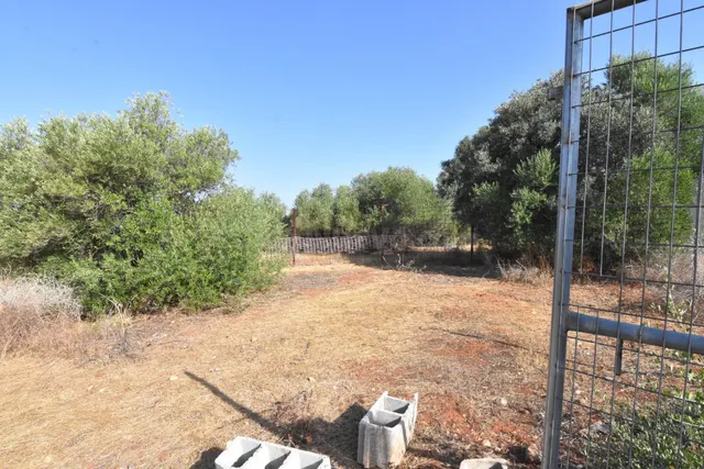 Terreno en Dos Hermanas - foto 4
