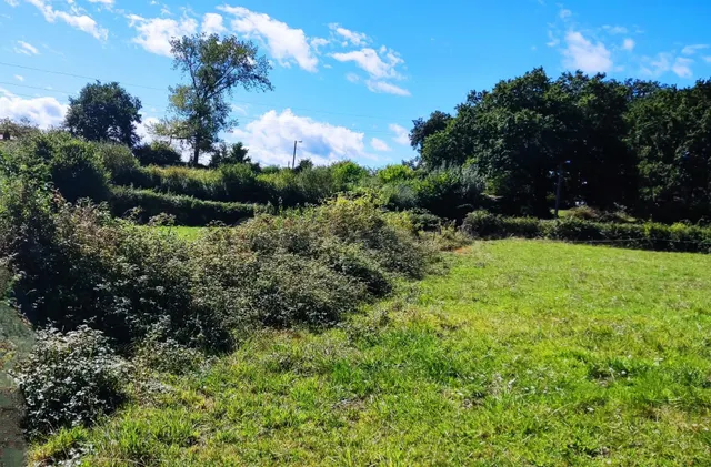 Construye tu hogar en el corazón de la naturaleza - foto 3