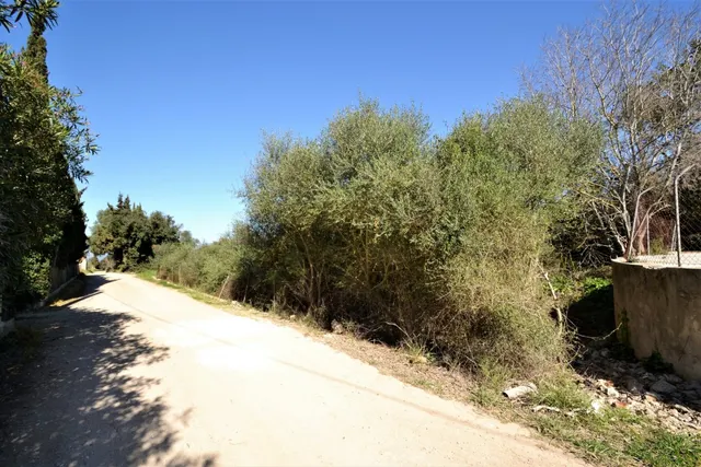 Finca con proyecto aprobado en Llubi — 18