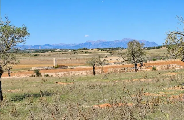 Finca rústica con posibilidad de vivienda en Ariany