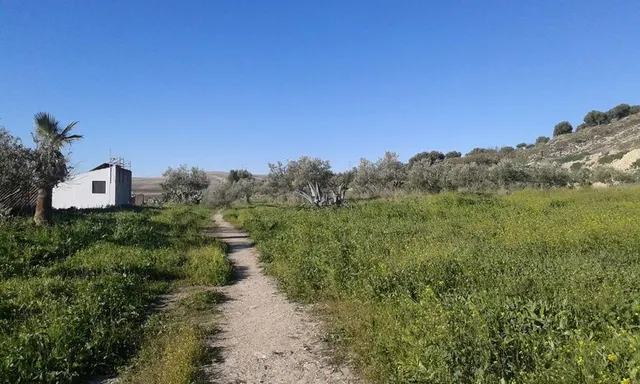 SUELO URBANIZABLE EN VENTA EN ESPERA (CÁDIZ) - foto 2