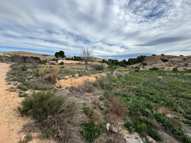 FINCA RUSTICA DE 23000M2 DONDE SE PUEDE EDIFICAR UNA CASA DE
