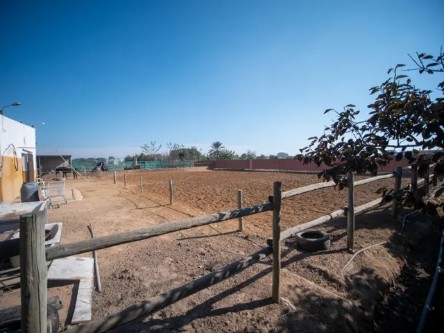 FINCA RÚSTICA CON ARBOLES FRUTALES Y CUADRA DE CABALLOS — 10