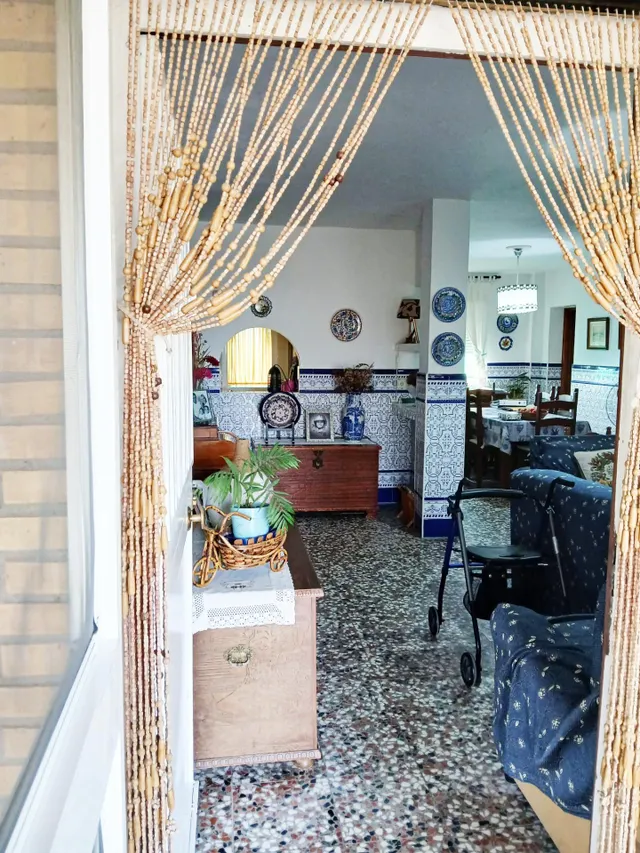 FINCA CON VIVIENDA EN BONARES (HUELVA) — 4