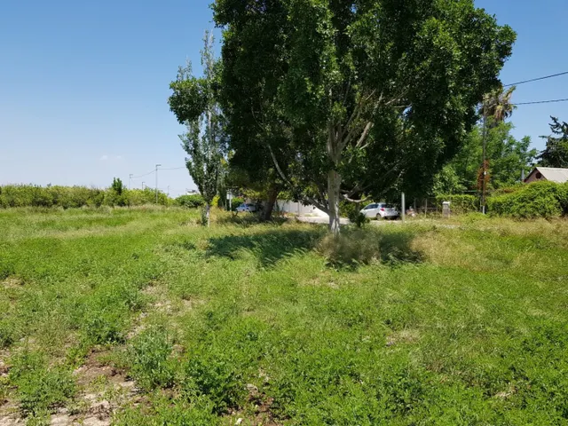 ESTUPENDA PARCELA  DE 1800M EN ZONA DE LOS RAMOS/TORREAGUERA — 6