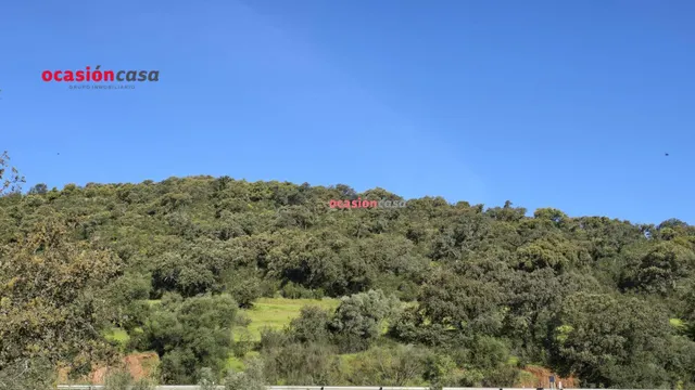 CHALET EN VENTA EN EL PUERTO CALATRAVEÑO — 25