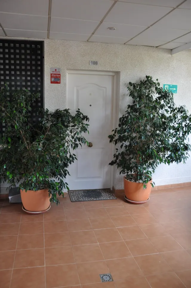 Precioso apartamento en alenda golf — 18