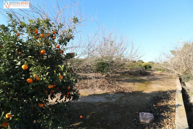 Conjunto de parcelas en Canet de Berenguer (zona gasolinera) — 20