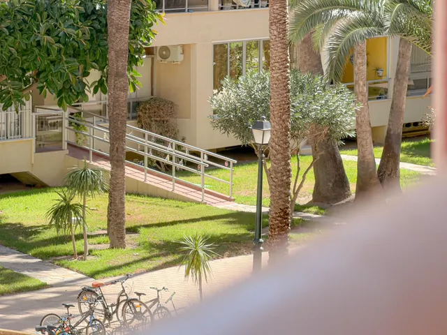 Playa de los Locos! Amplio apartamento (Año 2007) con terraza grande y vistas al palmeral ( 220 mts playa) — 13
