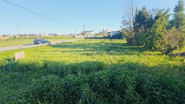 UNA CASA CON MUCHAS POSIBILIDADES, TERRENO Y ESPACIO PARA CREAR TU PROYECTO — 2