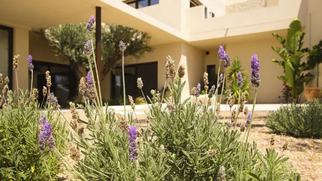 Villa 4 habitaciones 350m² en venta - La marina — 32