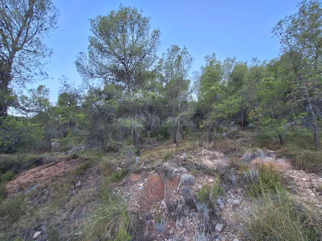 Finca rústica forestal en venta con vistas panoramicas · Castalla (Alicante) — 3