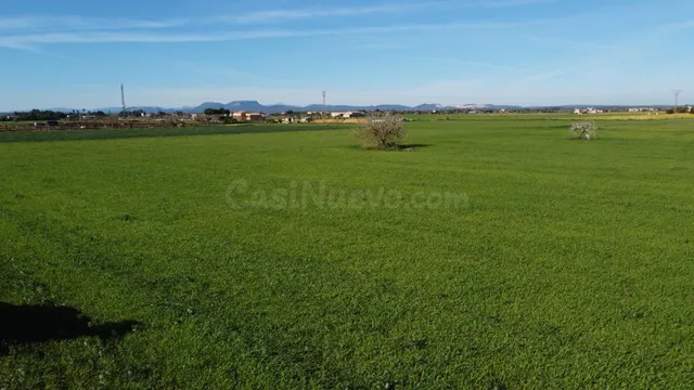Amplia Parcela en Campos - foto 5
