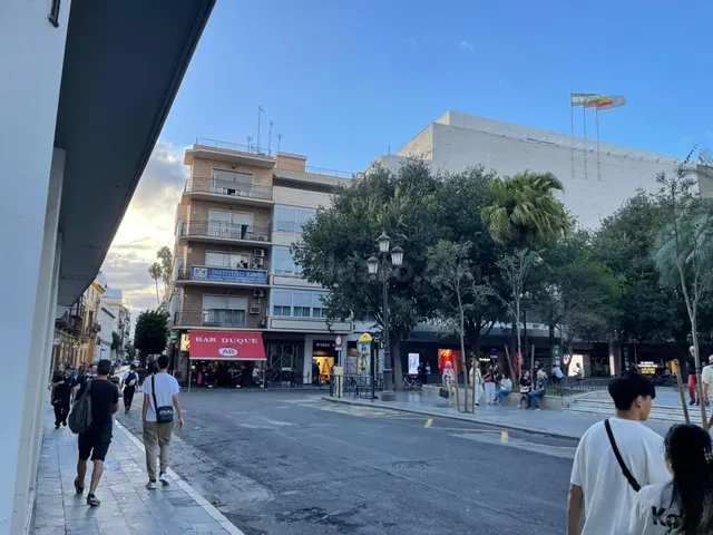 GARAJE EN PLAZA DUQUE DE LA VICTORIA - foto 5