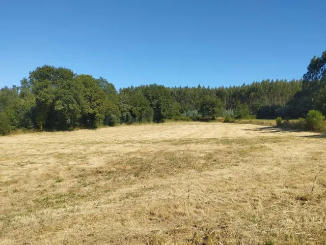 Finca rústica en Begonte, Lugo. - foto 5
