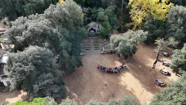 Finca rústica de 9 hectáreas en Arenys de Munt — 8