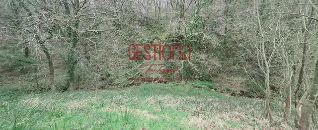 CABAÑA CON ARROYO,  PROYECTO Y CAMBIO DE USO EN LLANOS. PENAGOS — 34