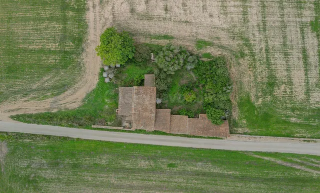 Gran terreno edificable en las afueras de Manacor - foto 5