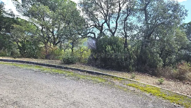 Parcela de 936 m2 situada en la Urbanización Sant Miquel d'A - foto 2