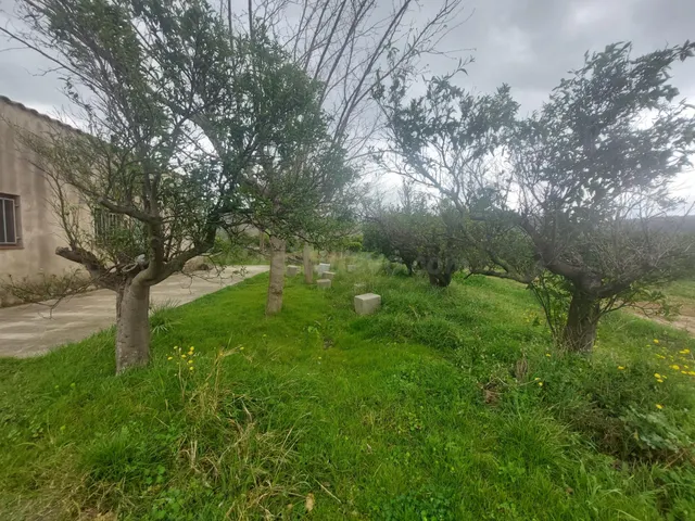 Tu Refugio Creativo en el Corazón de Xerta - foto 3