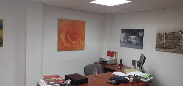 Oficina junto al Gran Teatro de Córdoba - foto 4