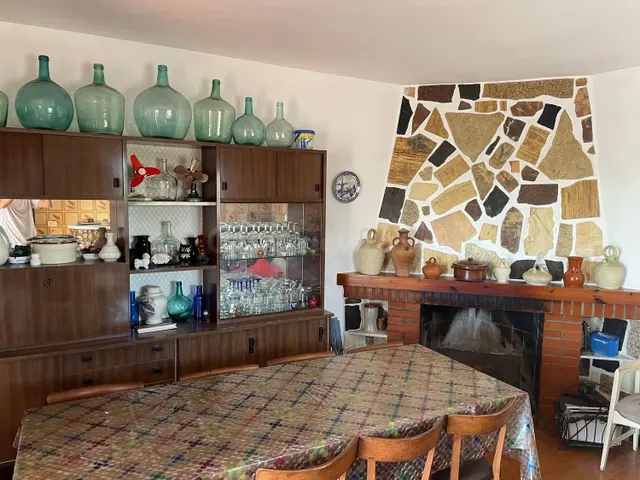 Terreno de 16.000 m2 con casa y cultivo de naranjos y olivos - foto 5