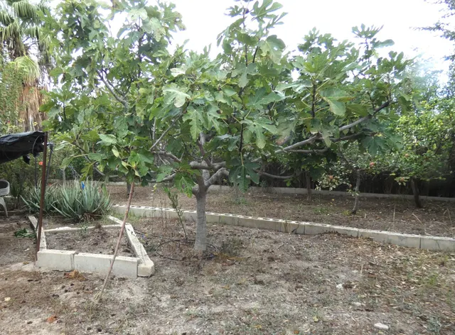 +Oportunidad Única: Casa para Reformar en Entorno Rural y Ecológico+ — 11