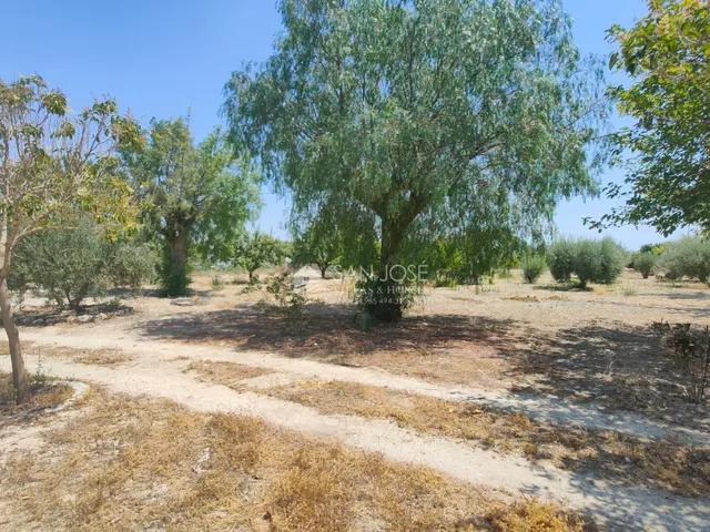 SE VENDE CASA DE CAMPO EN BUEN ESTADO EN ASPE — 20