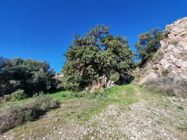 Parcela en venta - Marbella — 11